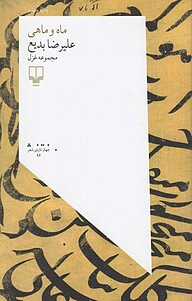 کتاب ماه و ماهی نشر چشمه
