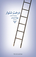 درخت شلوار