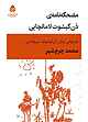 مضحکه نامه ی دن کیشوت لامانجایی