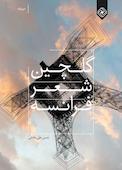 گلچین شعر فرانسه