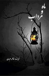 کتاب ماه و مرداب نشر کلید پژوه   