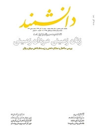 کتاب ماهنامه دانشمند شماره 649 نشر دانشمند -  