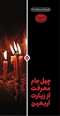 چهل جام معرفت از زیارت اربعین