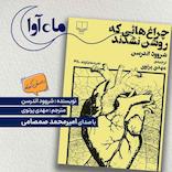 چراغ هایی که روشن نشدند