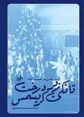 تانکی زیر درخت کریسمس