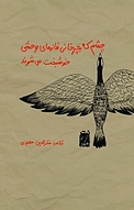 چشم که بچرخانی غازهای وحشی خوشبخت می شوند