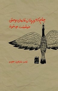 کتاب چشم که بچرخانی غازهای وحشی خوشبخت می شوند نشر آزادمهر   
