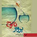 پرواز تا اوج