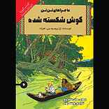 گوش شکسته شده