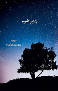 کتاب شهر شب نشر کلید پژوه   