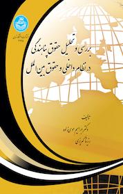 کتاب بررسی و تحلیل حقوق پناهندگی در نظام داخلی و حقوق بین الملل اثر ابراهیم موسی زاده نشر انتشارات دانشگاه تهران