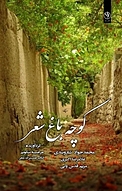 کوچه باغ شعر