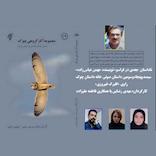 بعدی در فراسو