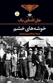خوشه های خشم