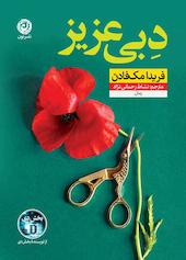 دبی عزیز