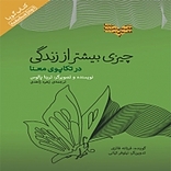 چیزی بیشتر از زندگی