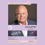 حرفه‌ای شوید