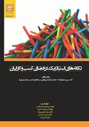 کتاب تکانه های استراتژیک در فضای کسب وکار ایران جلد 5 اثر نورعلی صالحی نشر انتشارات امیران