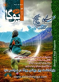 کتاب ماهنامه دانش یوگا شماره 82 نشر دانش یوگا -  