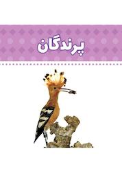 کتاب پرندگان اثر ستاره ساجدی نشر انتشارات شهر قلم