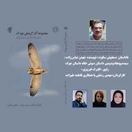 کتاب صوتی سمفونی سکوت اثر بهمن عباسزاده