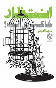 کتاب انتظار، خاکستری است! نشر انتشارات روزنه   