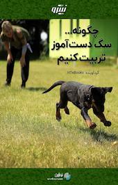 چگونه سگ دست آموز تربیت کنیم