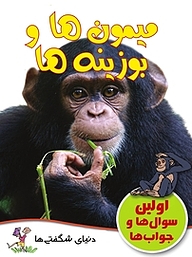 کتاب میمون ها و بوزینه ها نشر انتشارات شیما   