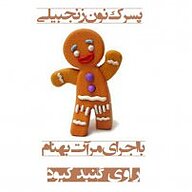 کتاب پسرک نون زنجبیلی نشر راوی گنبد کبود - نسخه صوتی 