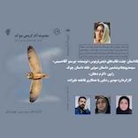 پشت نقاب‌های دیمی تریوس