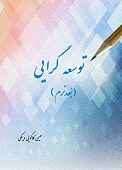 توسعه‌گرایی (بعد نرم)