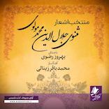 منتخب اشعار مثنوی جلالالدین محمد مولوی