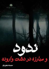 کتاب ندود و مبارزه در دشت وارونه اثر حمیدرضا رضوانیاول نشر آرسس