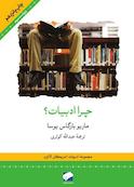 چرا ادبیات؟