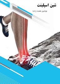 کتاب شین اسپلینت نوشین همتزاده نشر کنکاش