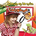 حشره ها چه چیزهایی می خورند؟