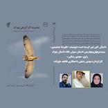 این شیر گرسنه است