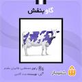 گاو بنفش