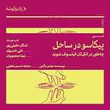 پیکاسو در ساحل
