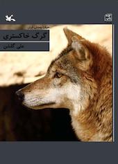 گرگ خاکستری