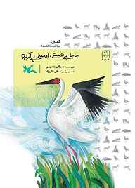 کتاب بابا بی هستی، امید بی آرزو جلد 10 نشر انتشارات کانون پرورش فکری کودکان و نوجوانان   