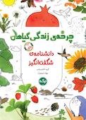 دانشنامه‌ی شگفت‌انگیز چرخه‌ی زندگی گیاهان