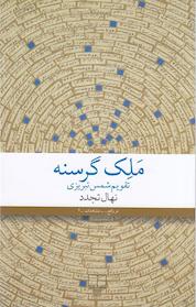 کتاب ملک گرسنه اثر نهال تجدد نشر چشمه