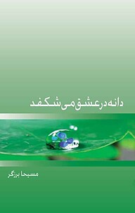 کتاب دانه در عشق می شکفد نشر ذهن‌آویز   