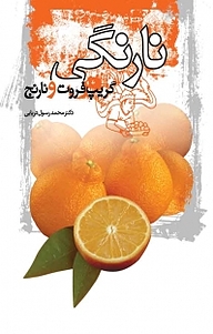 کتاب نارنگی نشر پندار تابان   