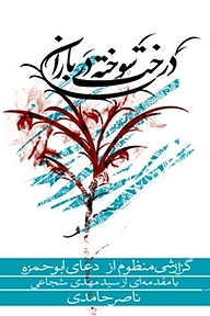 کتاب درخت سوخته در باران نشر انتشارات کتاب نیستان هنر   