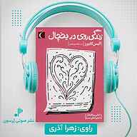 کتاب صوتی زندگی روی در یخچال الیس کایپرز پرسون