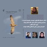 همسایه طبقه پایین