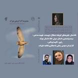 تجربه های کوچک استقلال