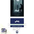زندانی